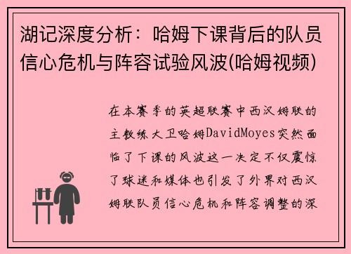 湖记深度分析：哈姆下课背后的队员信心危机与阵容试验风波(哈姆视频)