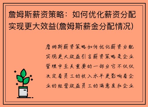 詹姆斯薪资策略：如何优化薪资分配实现更大效益(詹姆斯薪金分配情况)
