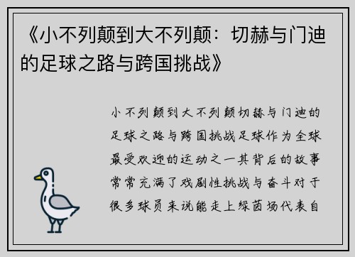 《小不列颠到大不列颠：切赫与门迪的足球之路与跨国挑战》