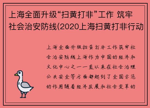 上海全面升级“扫黄打非”工作 筑牢社会治安防线(2020上海扫黄打非行动)
