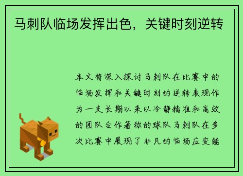 马刺队临场发挥出色，关键时刻逆转